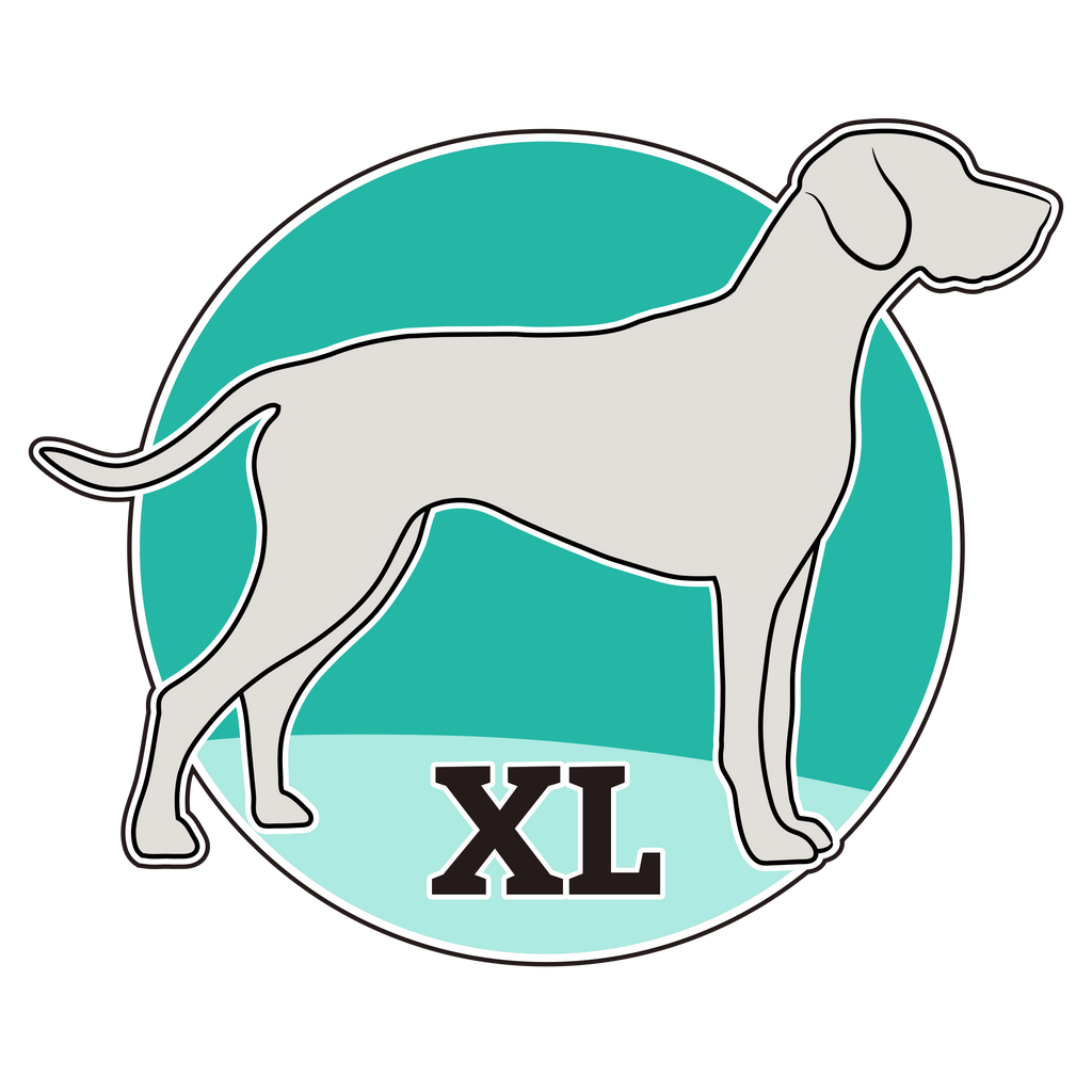 EXTRA LARGE COLLARS - Gypsy Jewels By Timber