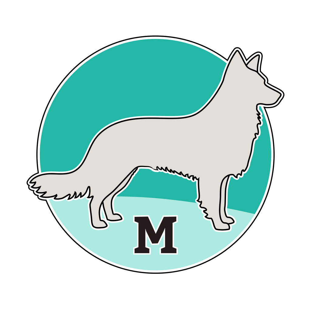 MEDIUM COLLARS - Gypsy Jewels By Timber