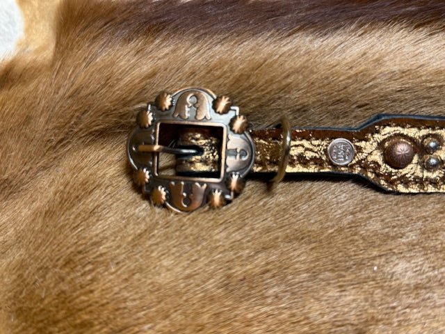 BRONZE STUDDED LEATHER DOG COLLAR - Gypsy Jewels By TimberBRONZE STUDDED LEATHER DOG COLLARGypsy Jewels By TimberGypsy Jewels By TimberSDog Collar