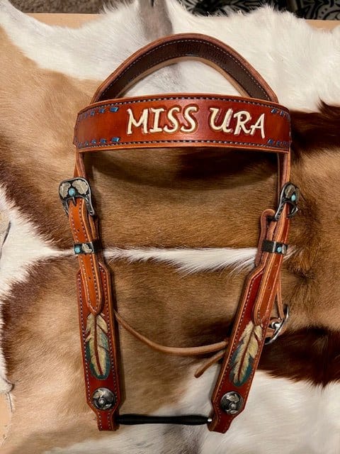 CUSTOM HORSE TACK - Gypsy Jewels By TimberCUSTOM HORSE TACKGypsy Jewels By TimberGypsy Jewels By TimberCustom Horse Tack