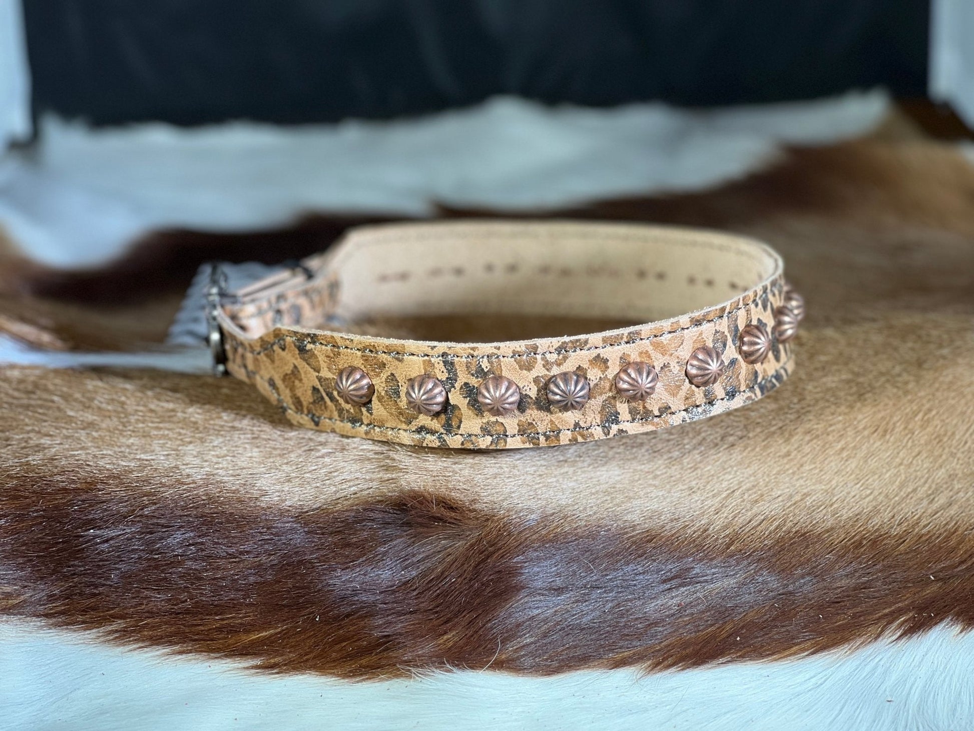 HEAR ME ROAR in this DOG COLLAR - Gypsy Jewels By TimberHEAR ME ROAR in this DOG COLLAR - Gypsy Jewels By TimberHEAR ME ROAR in this DOG COLLAR - Gypsy Jewels By TimberGypsy Jewels By TimberGypsy Jewels By TimberDog CollarGypsy Jewels By TimberGypsy Jewels By TimberDog Collar